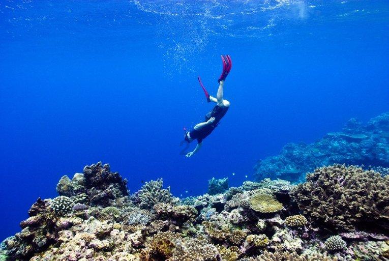 【文化拾遗 魅力泉州】到海交馆,追寻海上丝绸之路的身影